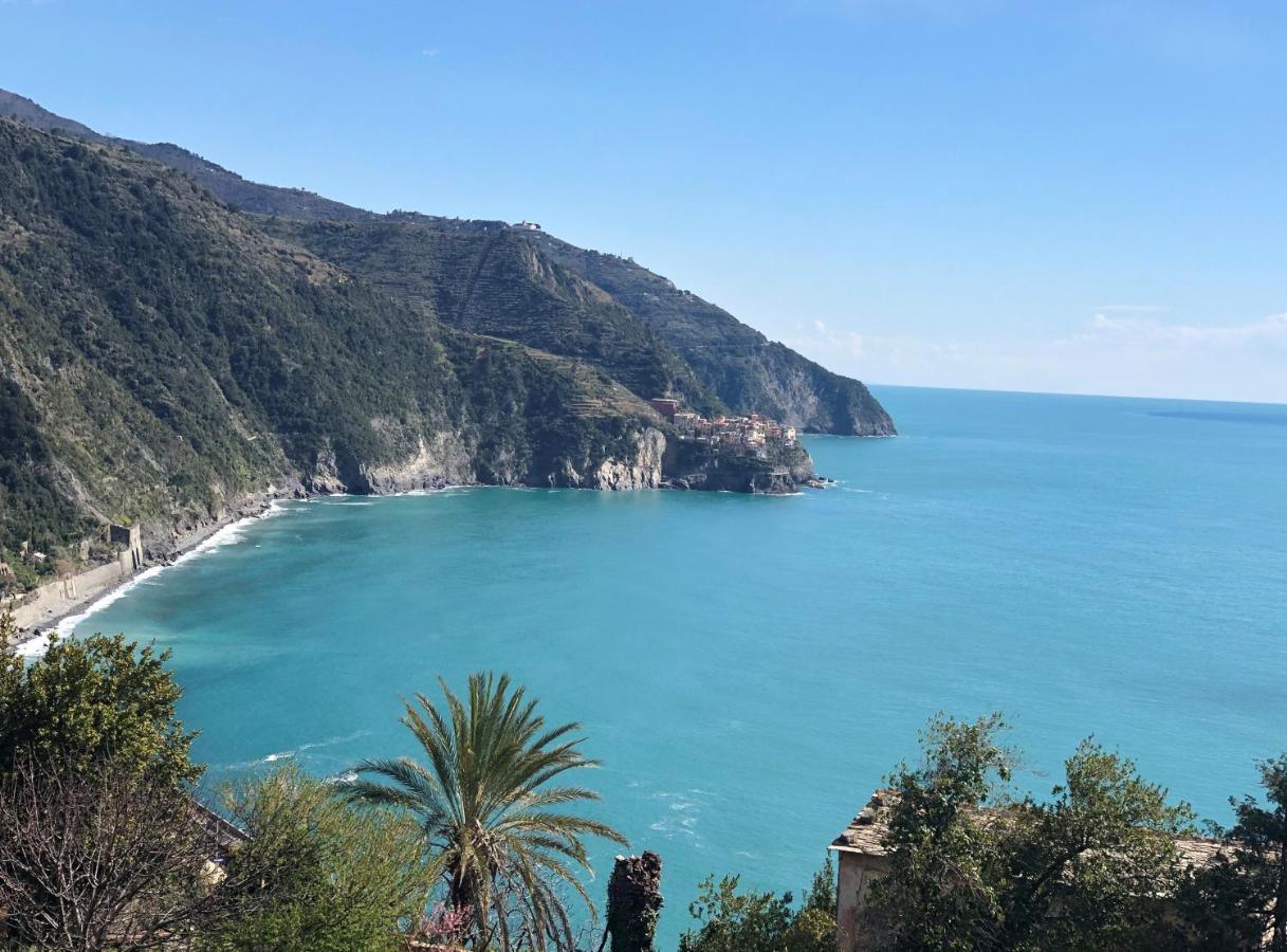 My Place Your Place Corniglia Buitenkant foto